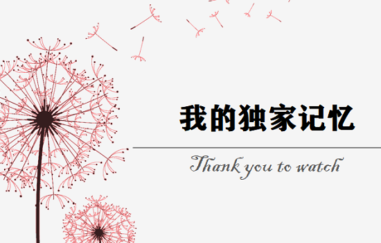 《我的独家记忆》